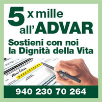 img-dx