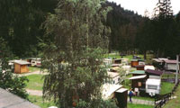 img-dx