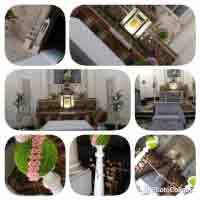 img-dx