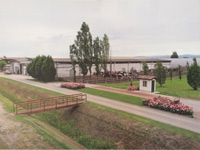 img-dx