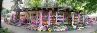 img-dx