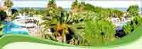 img-dx