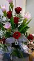 img-dx