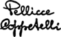 logo-ph