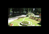 img-dx