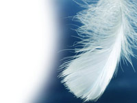 img-dx