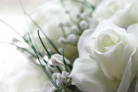 img-dx