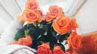 img-dx