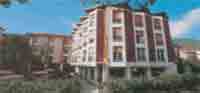 img-dx
