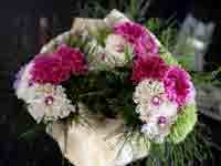 img-dx