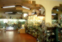 img-dx