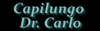 logo-ph