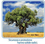 img-dx