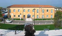 img-dx