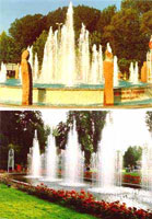 img-dx