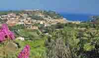 img-dx