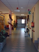 img-dx
