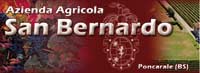 img-dx