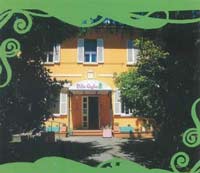 img-dx