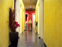img-dx