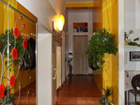 img-dx