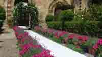img-dx