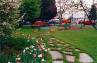 img-dx