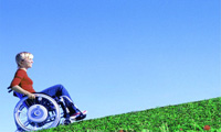 img-dx