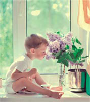 img-dx