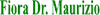logo-ph