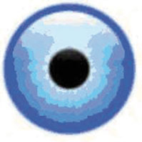 img-dx