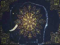 img-dx