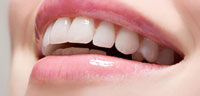img-dx