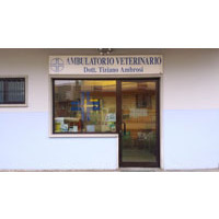 img-dx