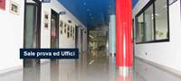 img-dx