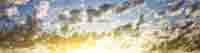 img-dx