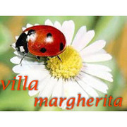 img-dx