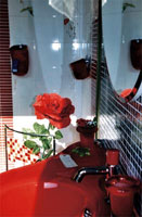 img-dx