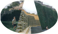 img-dx