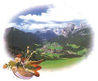 img-dx
