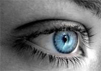 img-dx