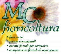 img-dx