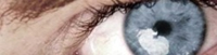 img-dx