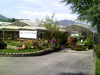 img-dx