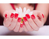 img-dx