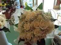 img-dx