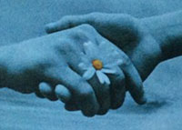 img-dx