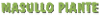 logo-ph