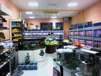 img-dx