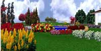 img-dx